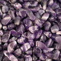 Pack of 24 Amethyst Banded M (B grade)