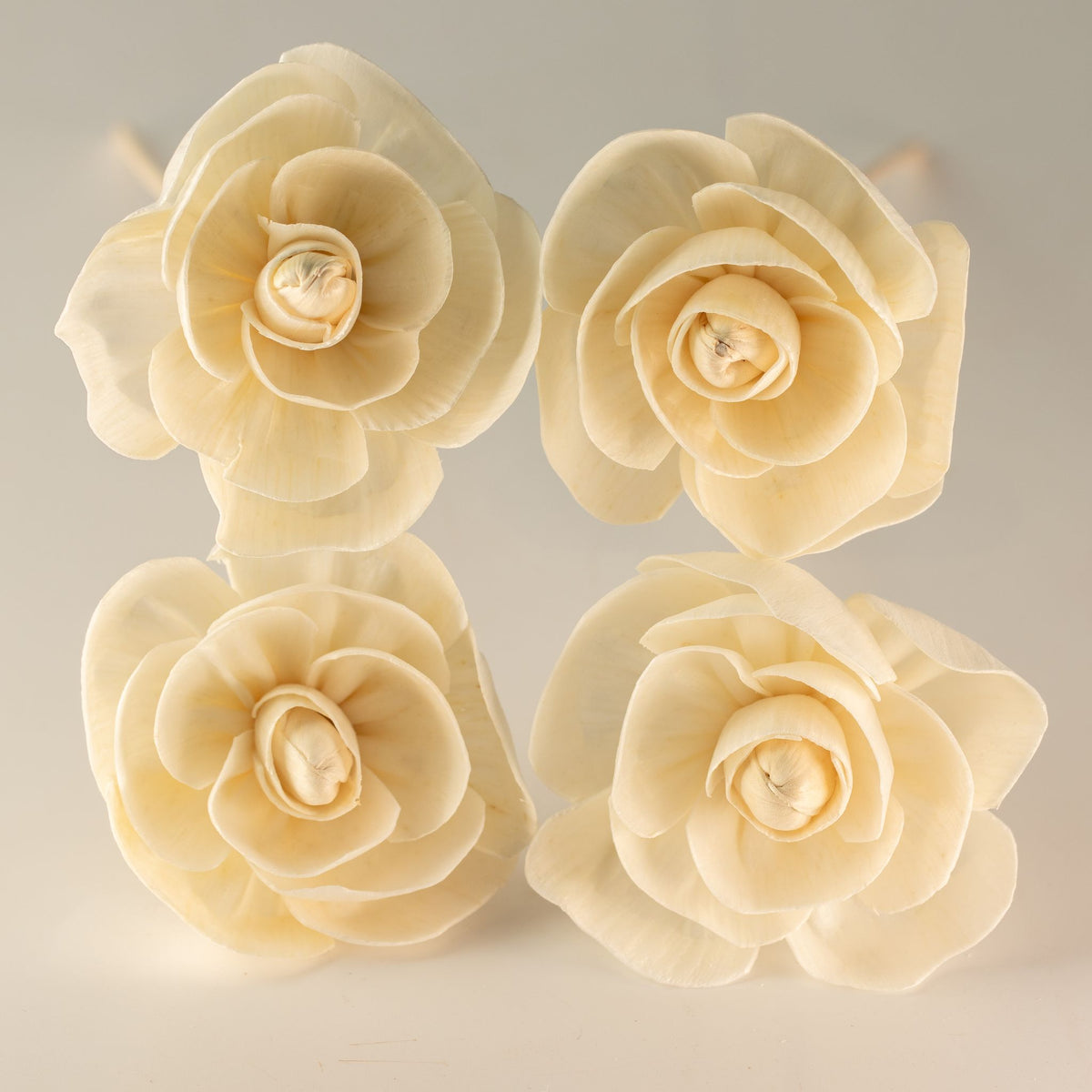 Natural Diffuser Flowers – Rose on Reed