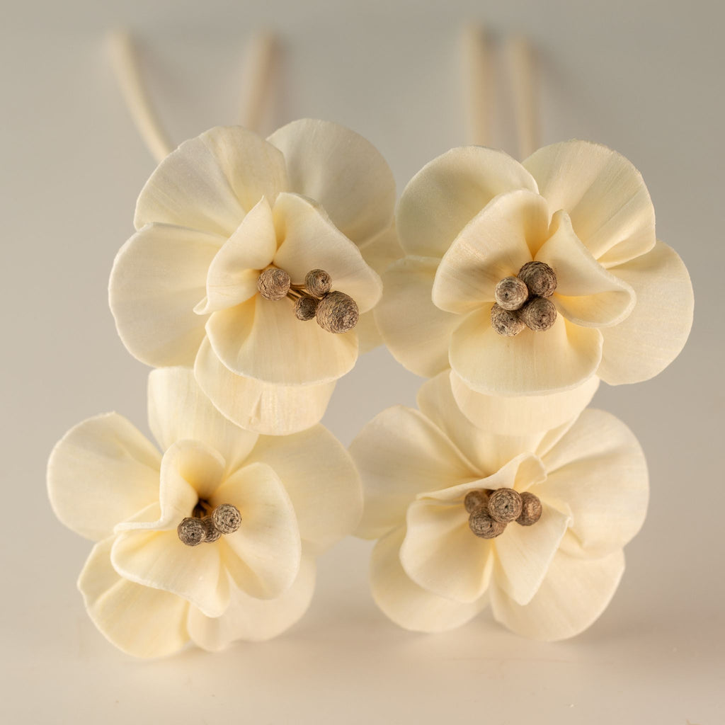 Natural Diffuser Flowers – Lily on Reed