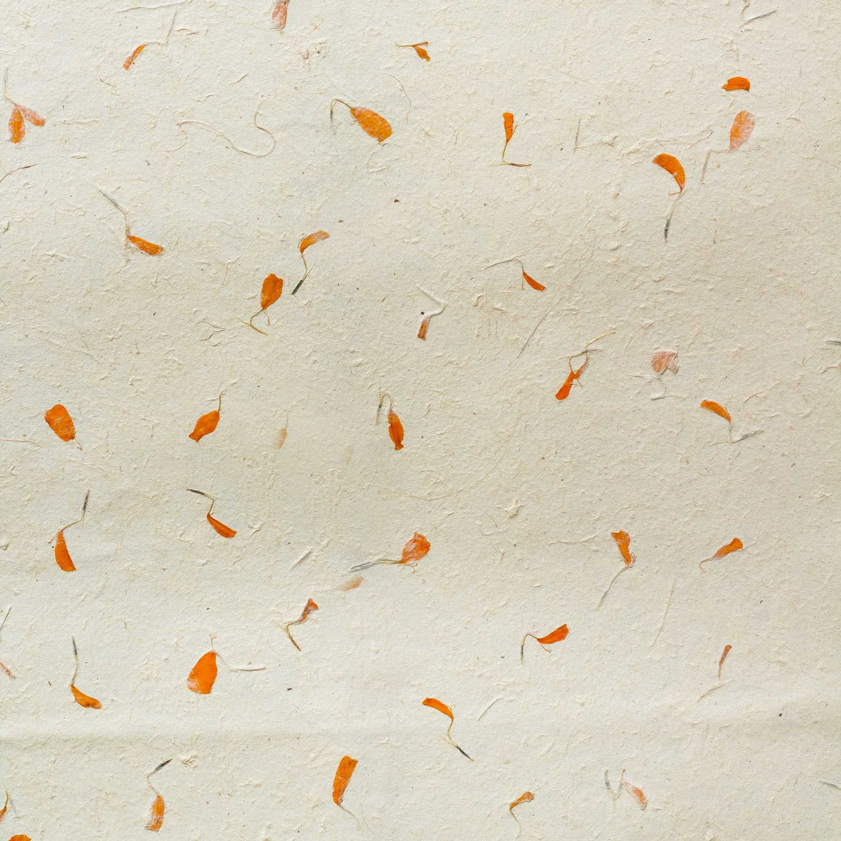 Lokta Craft & Wrapping Paper 51x76cm - Marigold
