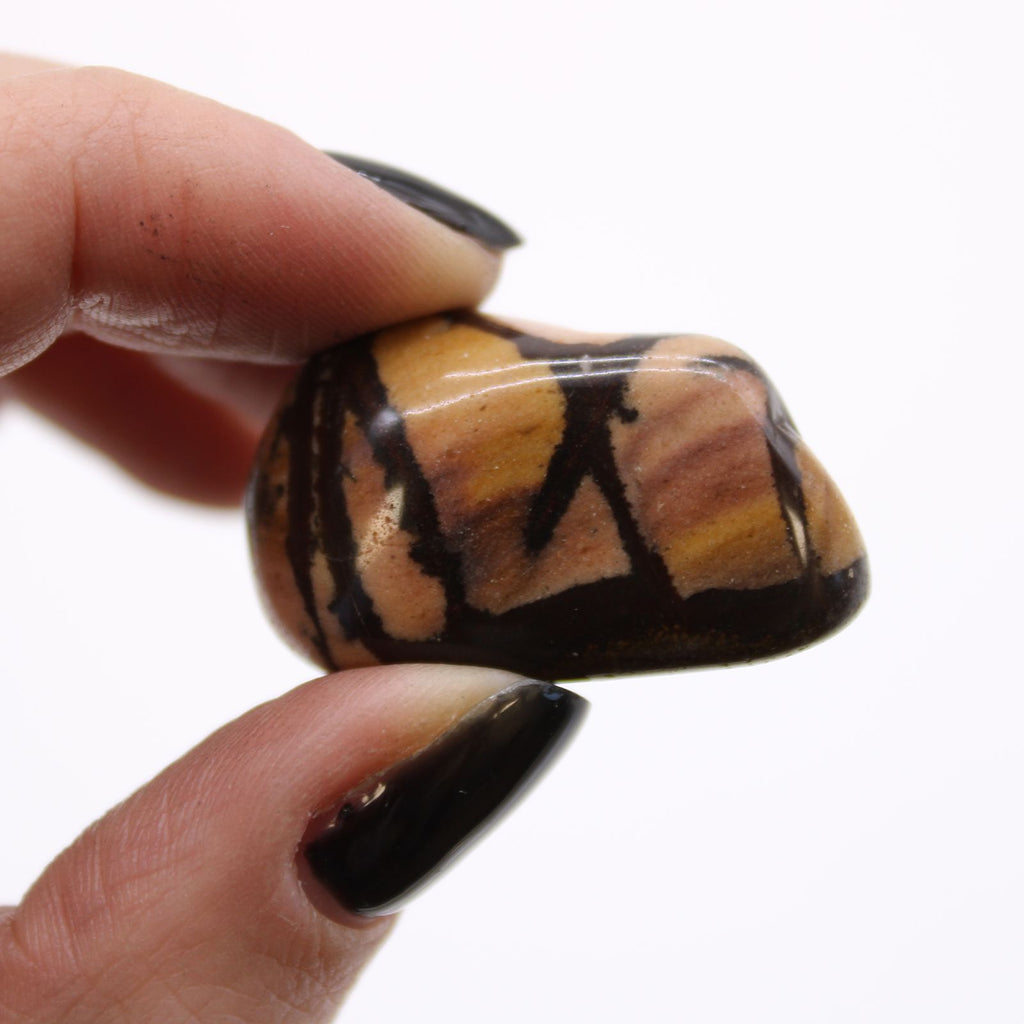 Bag of 12 Medium African Tumble Stones - Jasper Nguni