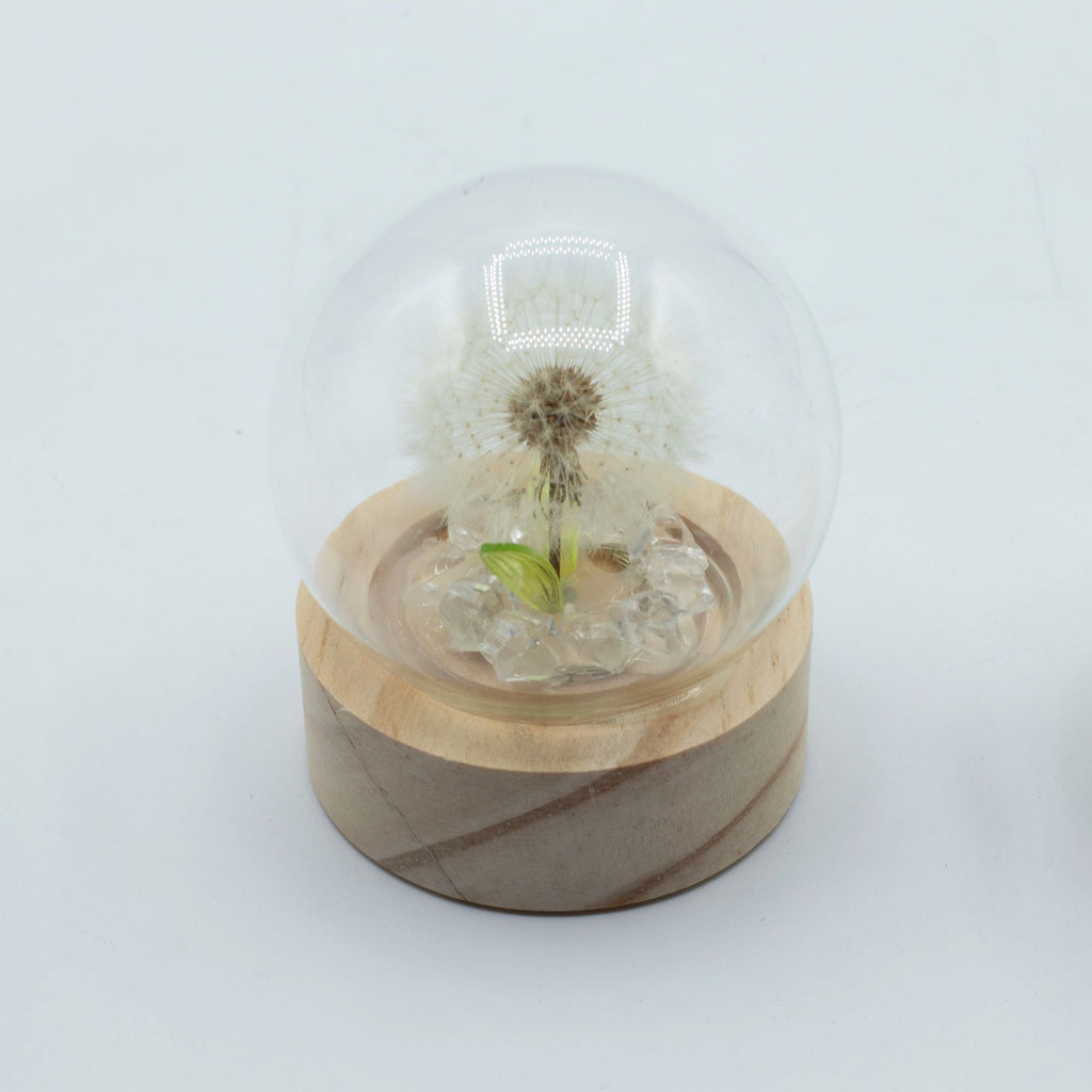 Floral Glow Garden Dome - 1 Dandilion- LED Battery