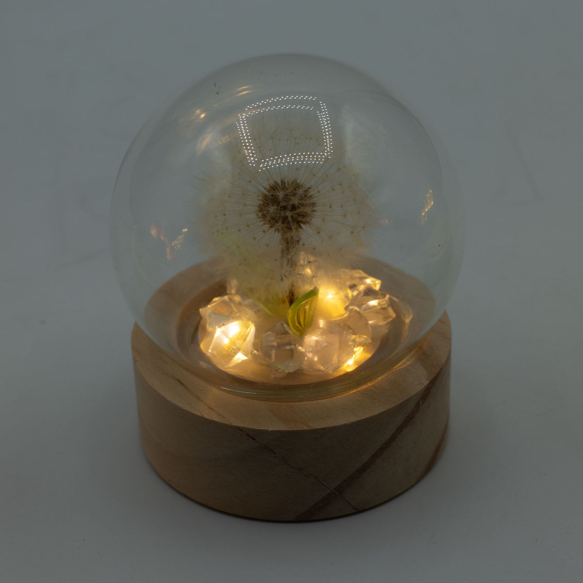Floral Glow Garden Dome - 1 Dandilion- LED Battery