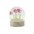 Floral Glow Garden Dome - 5 Red Roses - LED Battery